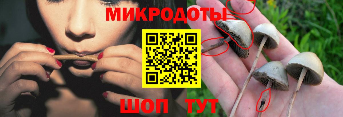Галлюциногенные грибы MAGIC MUSHROOMS  Псилоцибиновые грибы MAGIC MUSHROOMS  Вход с VPN  Пятигорск 