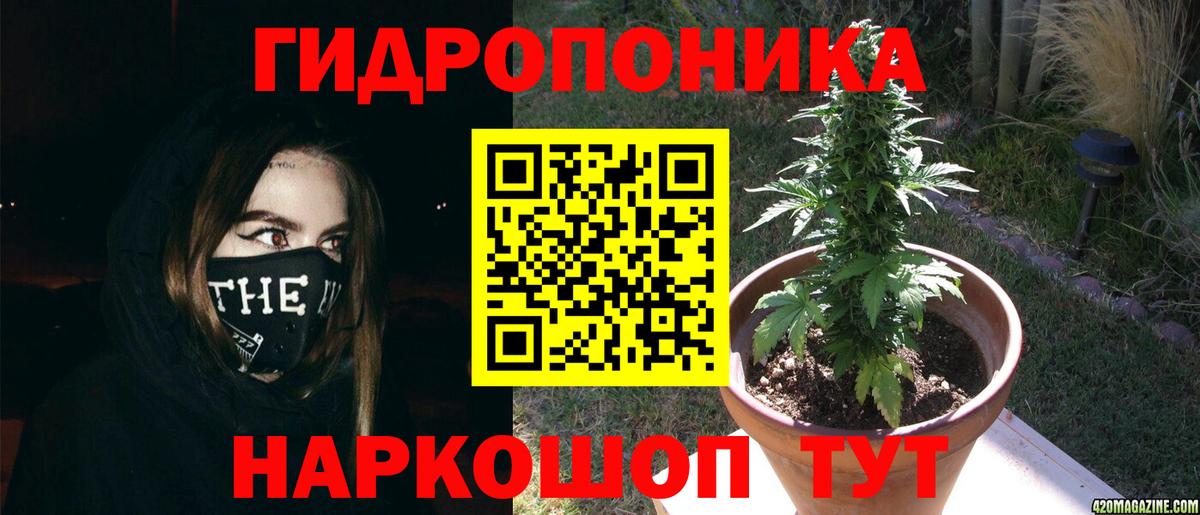 Бошки марихуана Ganja  Каннабис White Widow  Конопля план  Пятигорск  Вход с VPN 